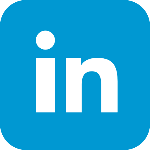 Ícone LinkedIn Erika Ferreira Fonoaudióloga