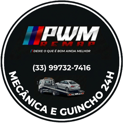 Logo Cartão PWM REMAP