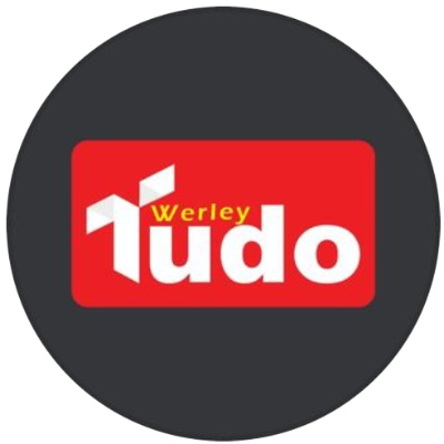 Logo Cartão WERLEY TUDO